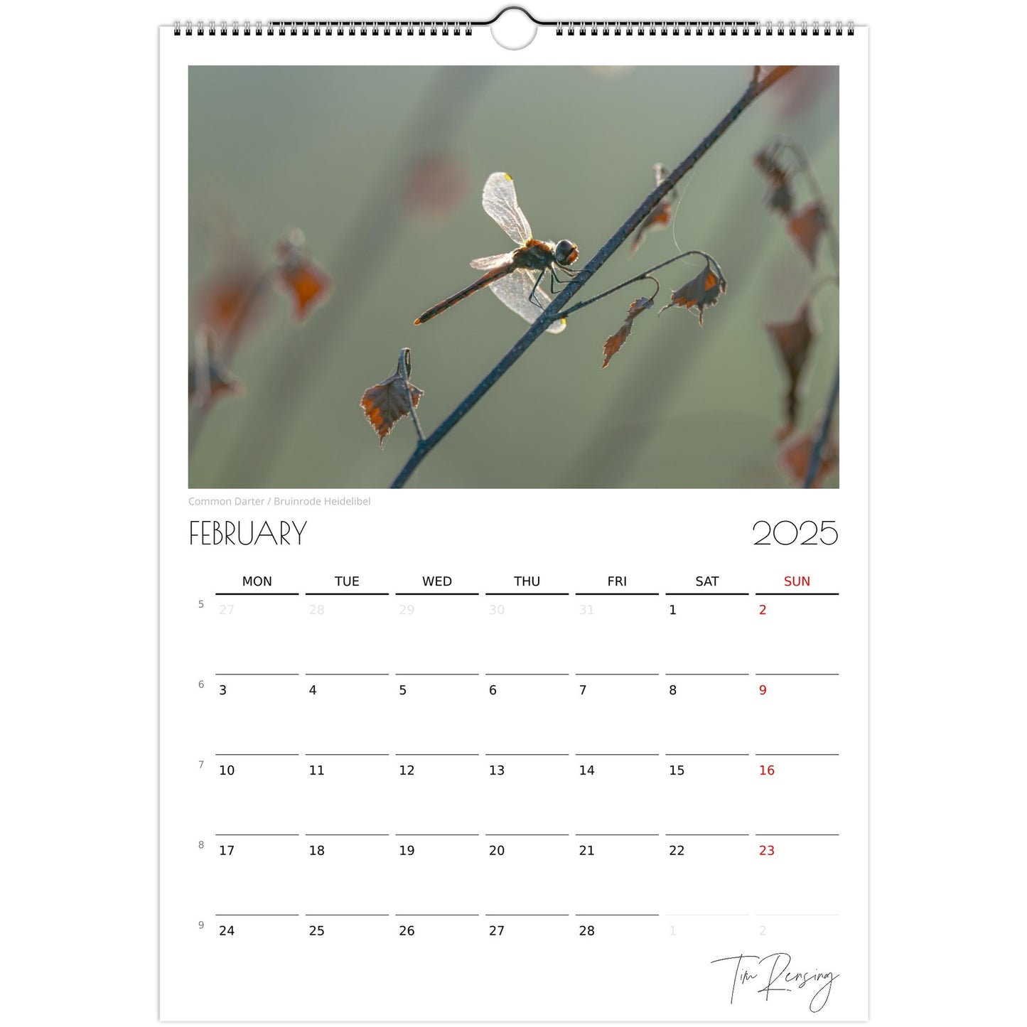 680ec9bd-9565-4217-a8bf-7552fb6490a4