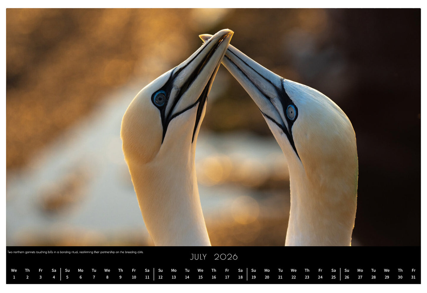 Wildlife Calendar 2026