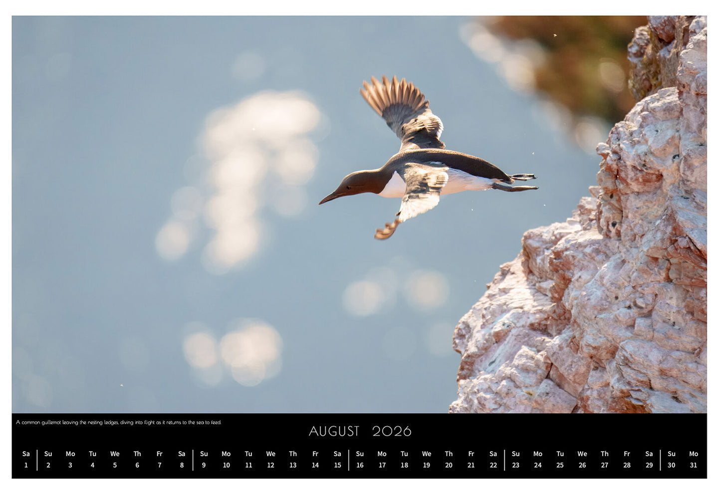 Wildlife Calendar 2026