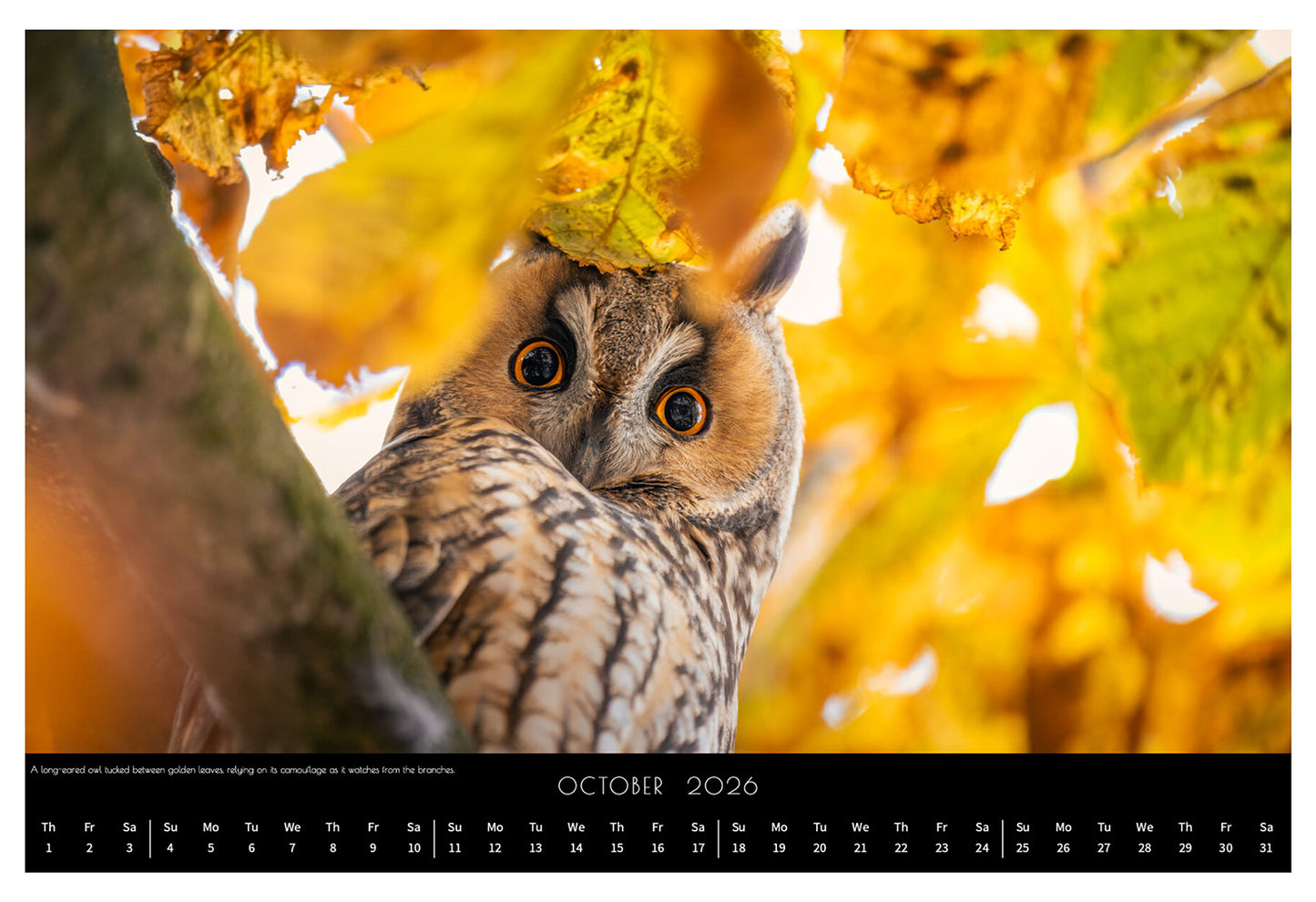 Wildlife Calendar 2026