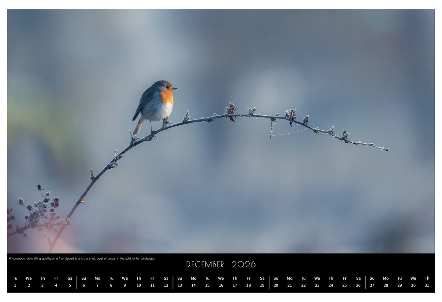 Wildlife Calendar 2026