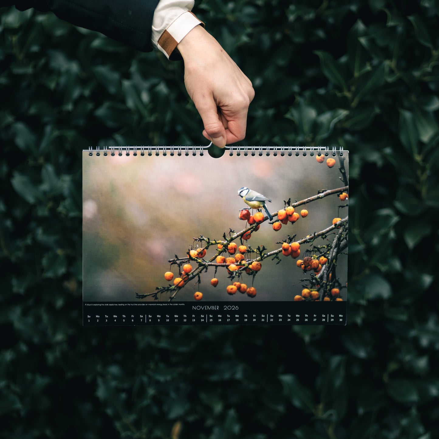 Wildlife Calendar 2026