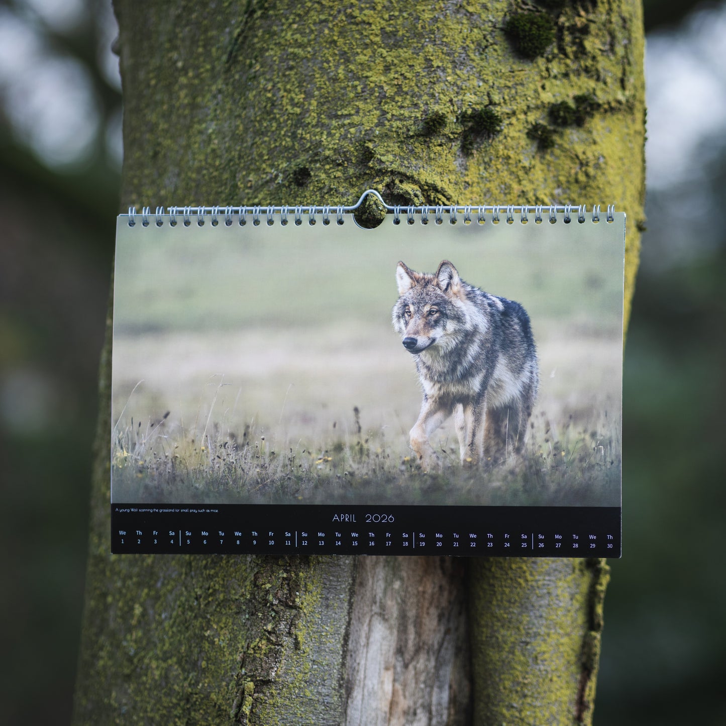 Wildlife Calendar 2026